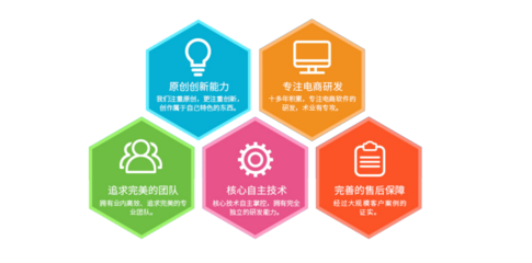 電商網(wǎng)站軟件服務與電子商務技術服務 構建高效在線商業(yè)生態(tài)的核心支柱