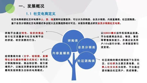 《電子商務(wù)技術(shù)服務(wù)合規(guī)啟示 基于中國社交電商合規(guī)研究報(bào)告的分析》